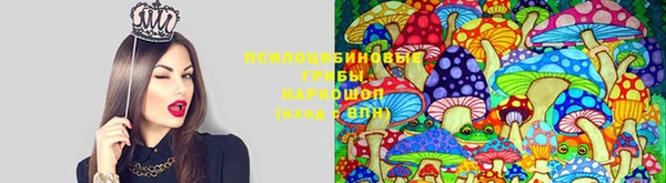 кокаин Каменка